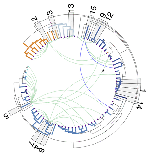 Cheese Microbiome Genomics