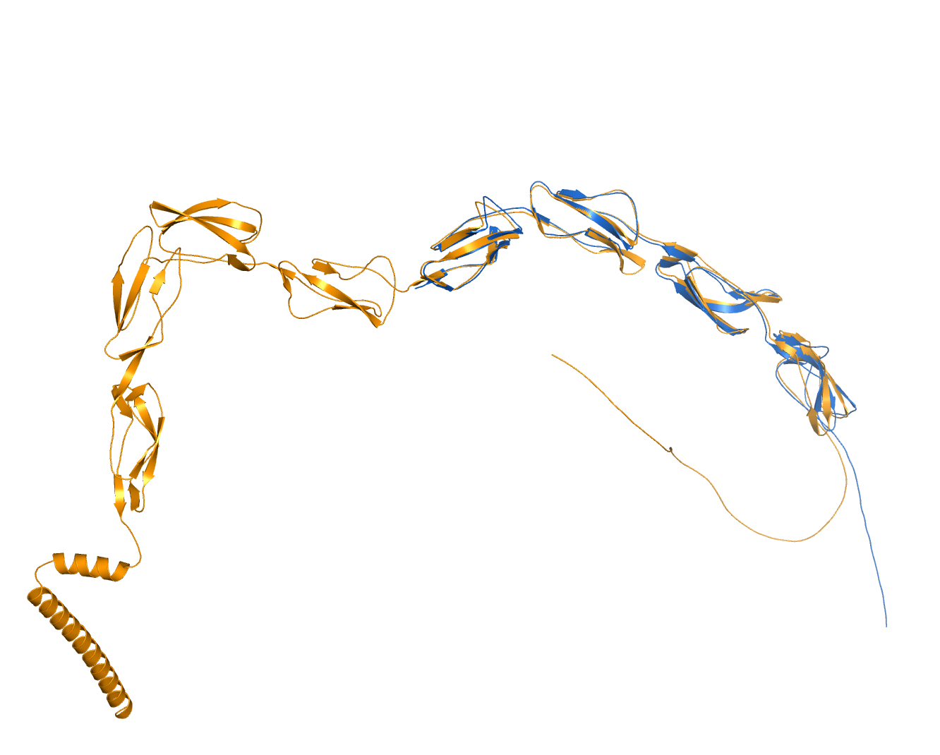 Viral Structural Mimics